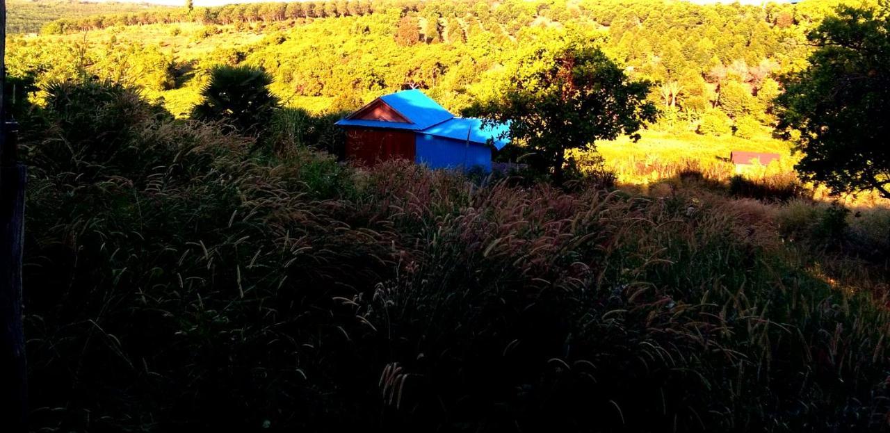 Mr Pov Home Stay Banlung Værelse billede